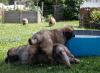 images/T-Wurf/T-Wurf Wo 9/3S8A2849-Bearbeitet.jpg